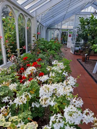 The Birmingham Botanical Gardens