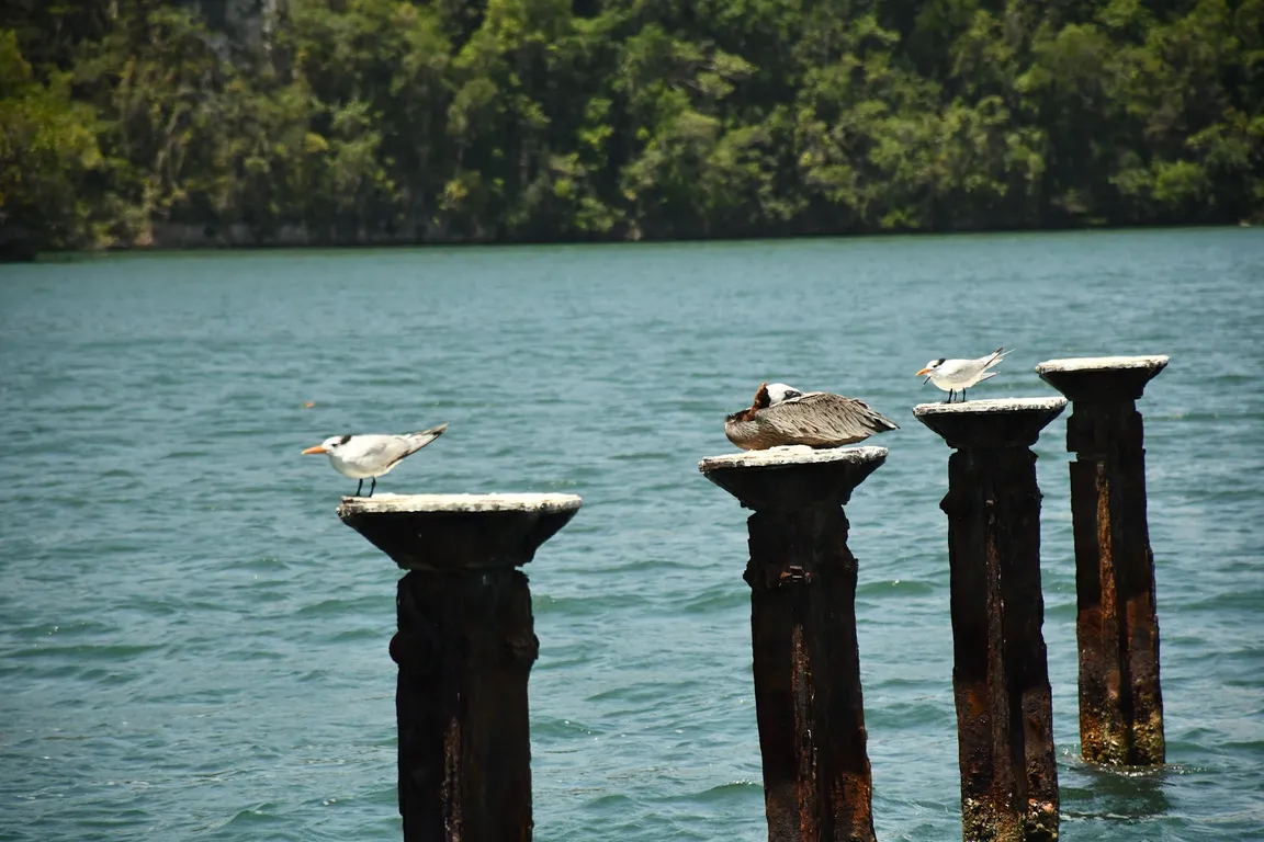 Pier La Perla