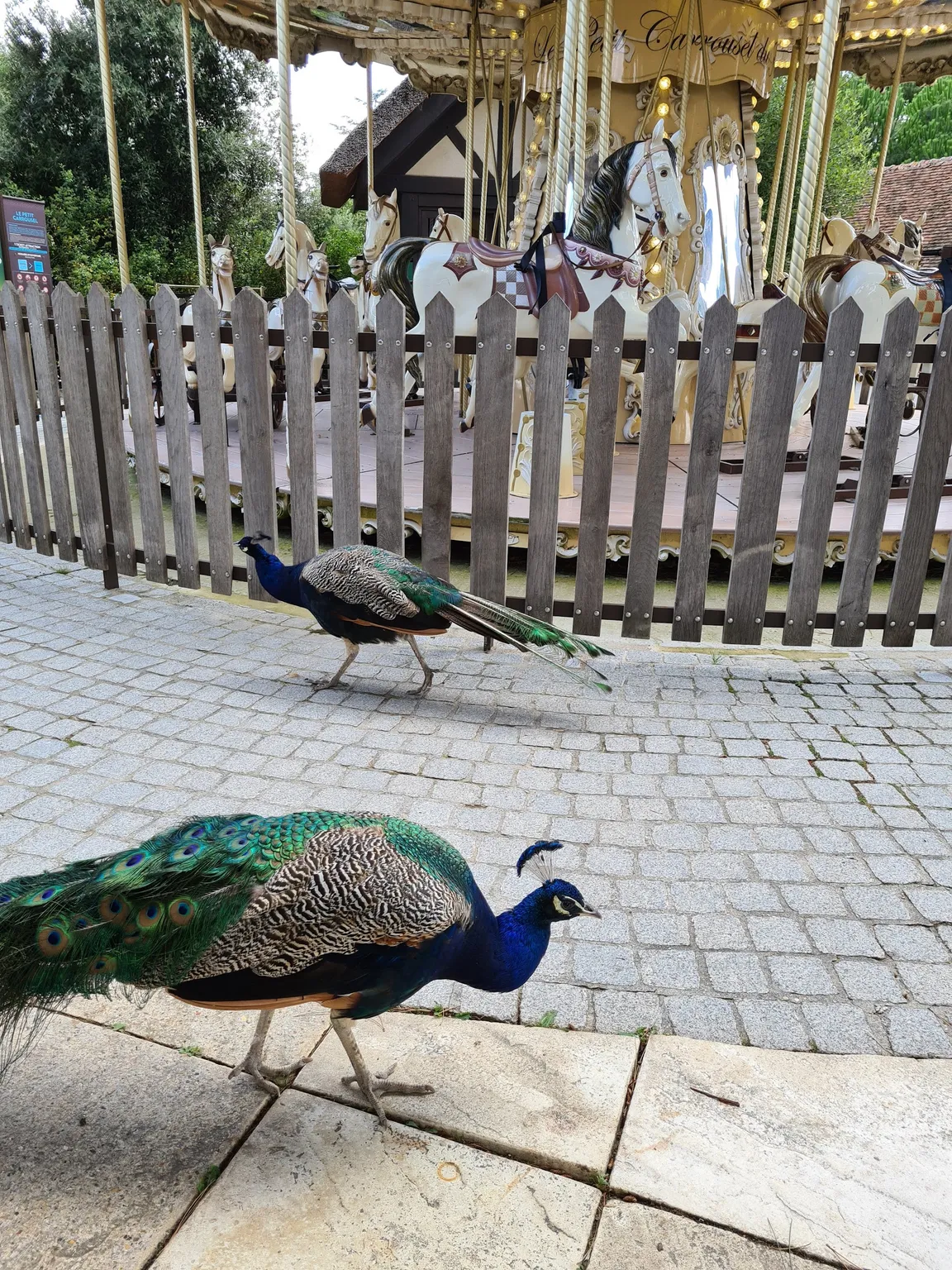 Jardin d'Acclimatation