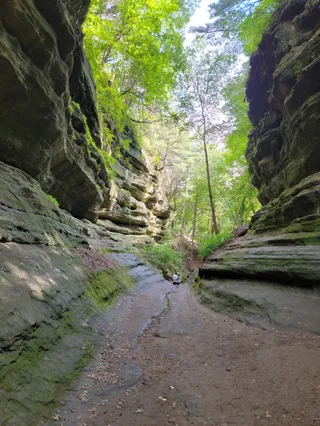 Park stanowy Starved Rock