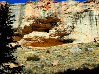 Bighorn National Forest