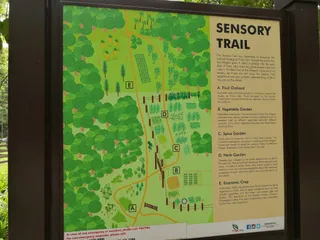Sensory Trail