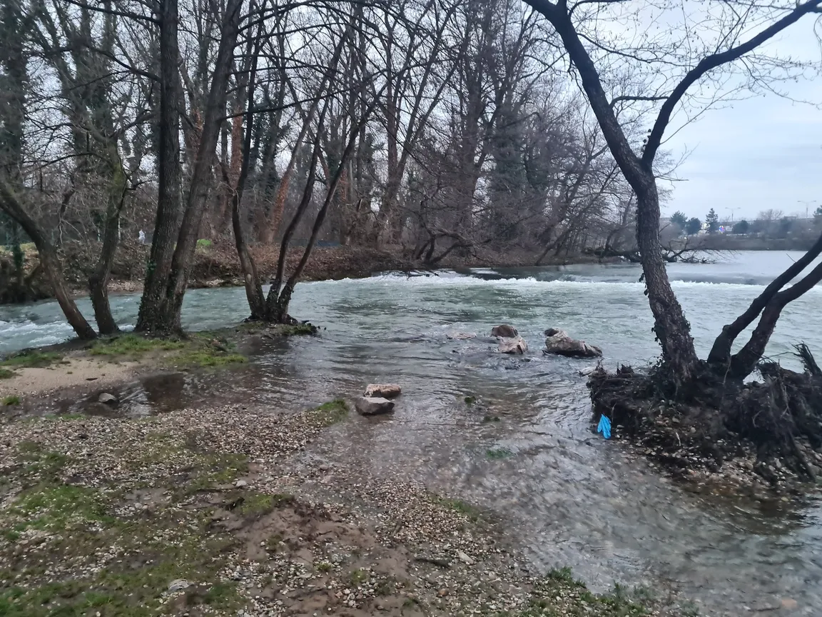 Silvas Park