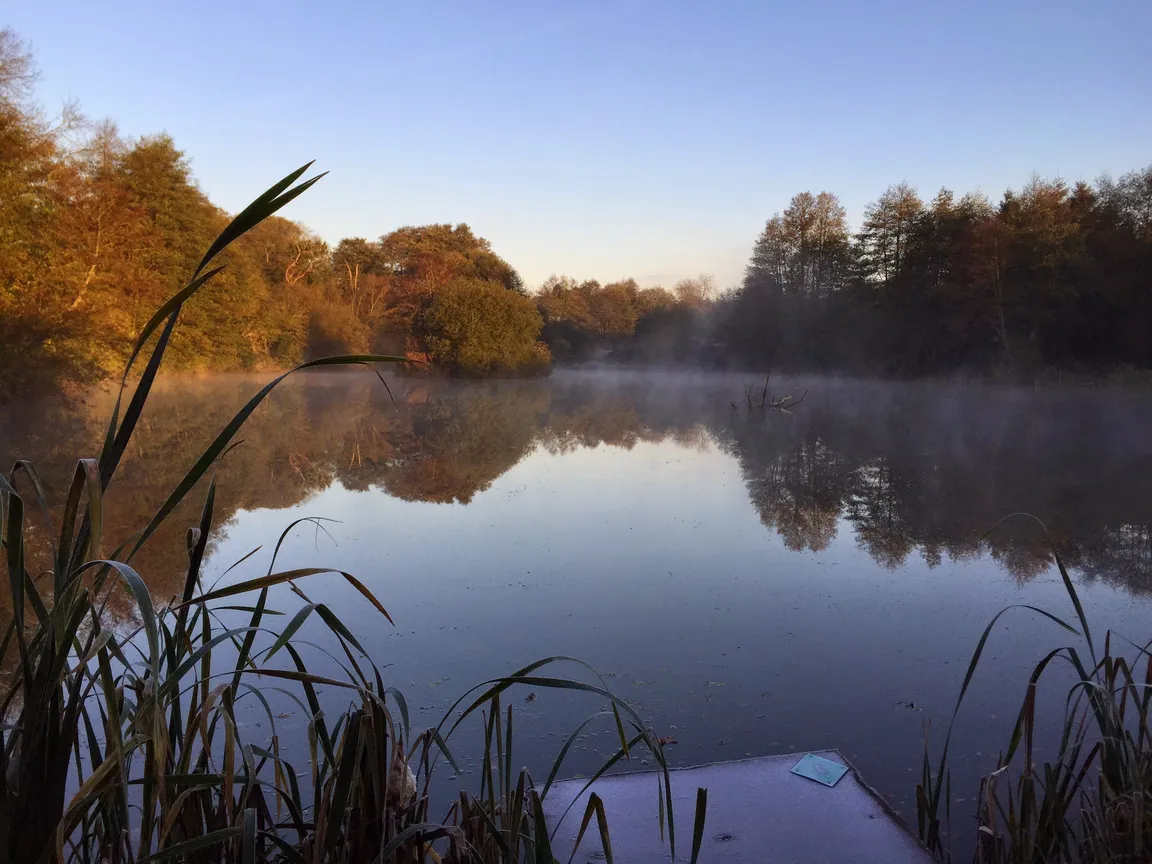 Alders Farm Fishery