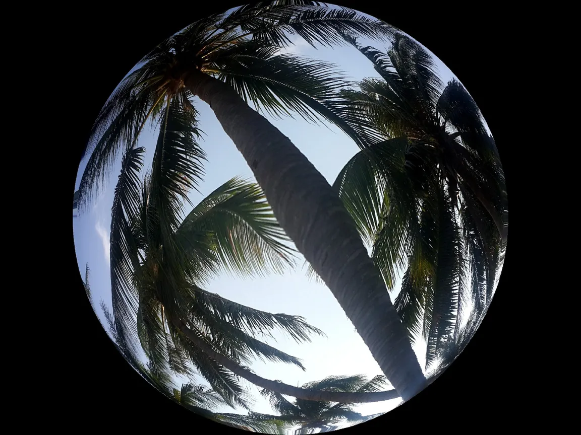 Koh Phangan Tribe Beach Club