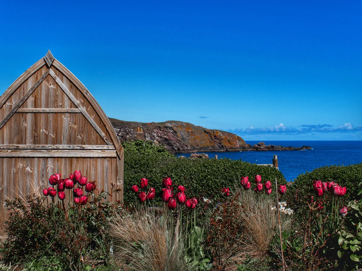 St Abb's Head