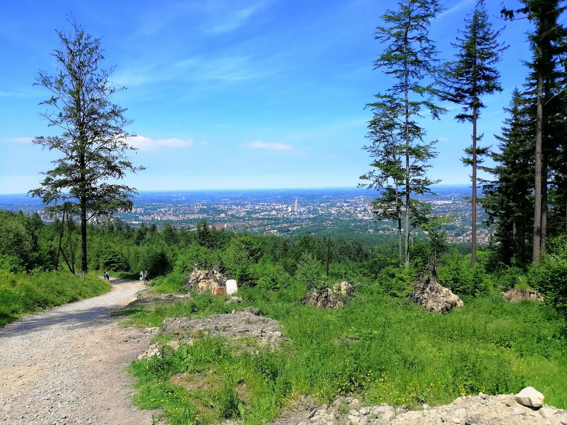 Park Cygański Las w Bielsku-Białej