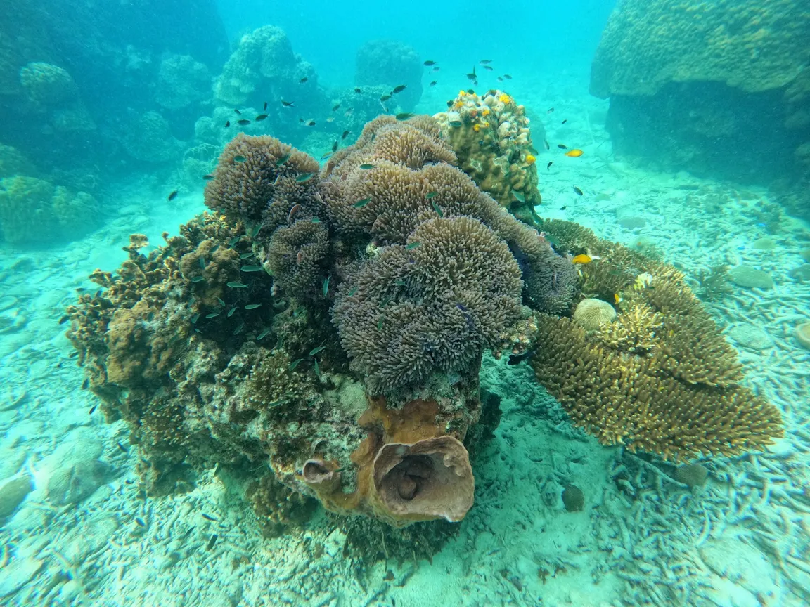 Tanote Bay