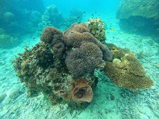Tanote Bay