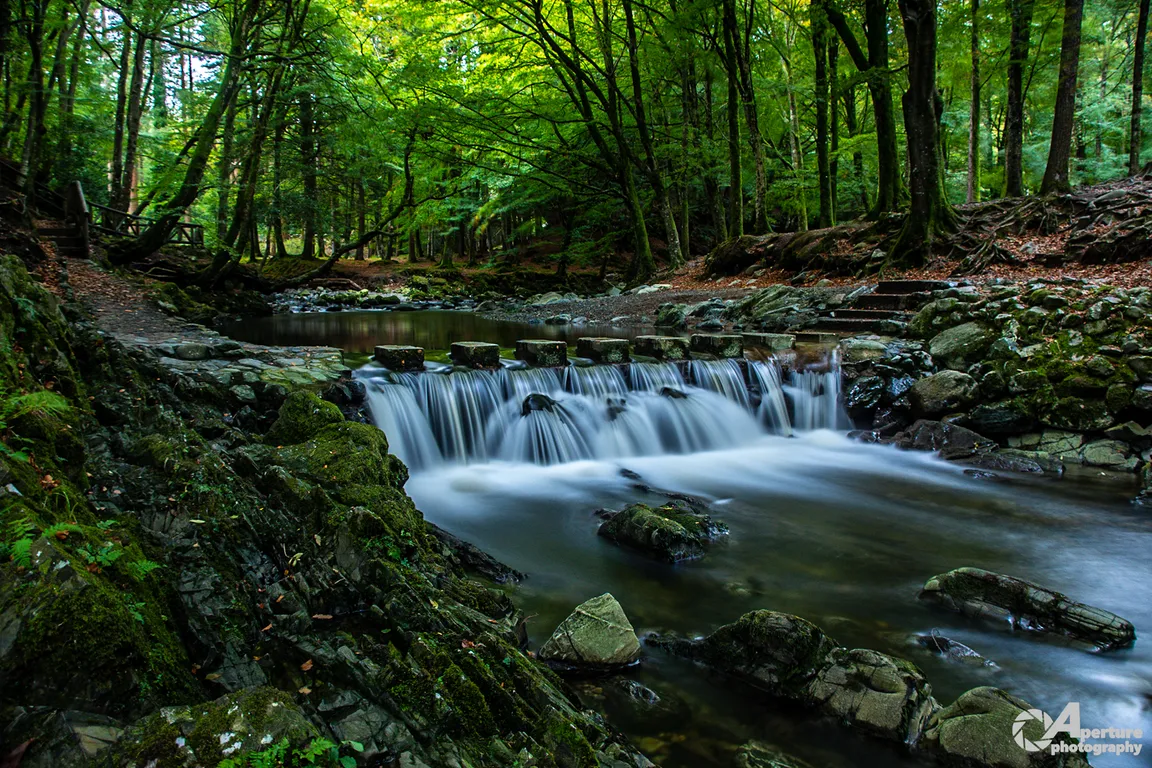 Tollymore Forest Park