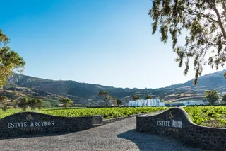 Estate Argyros