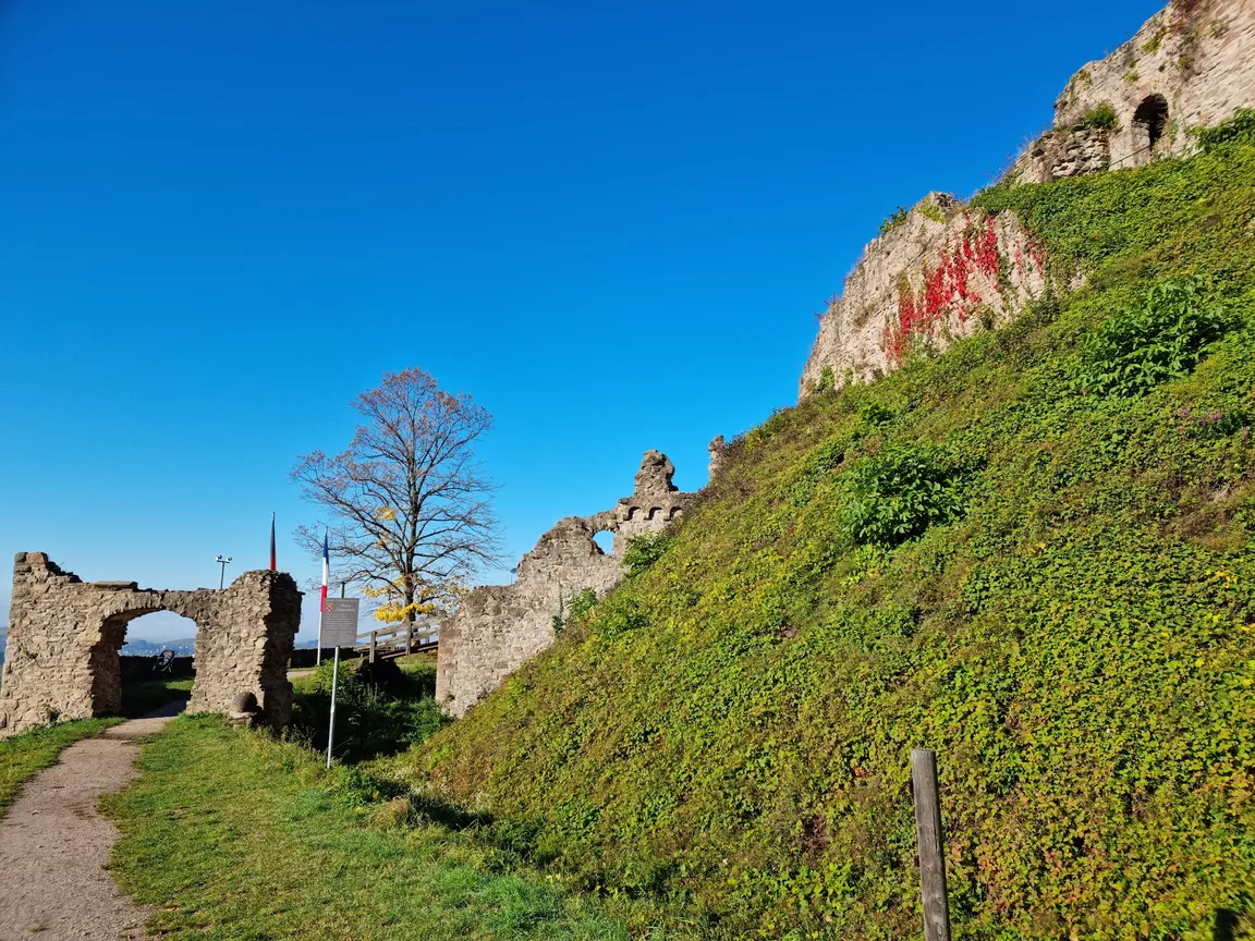 Ruine Schauenburg