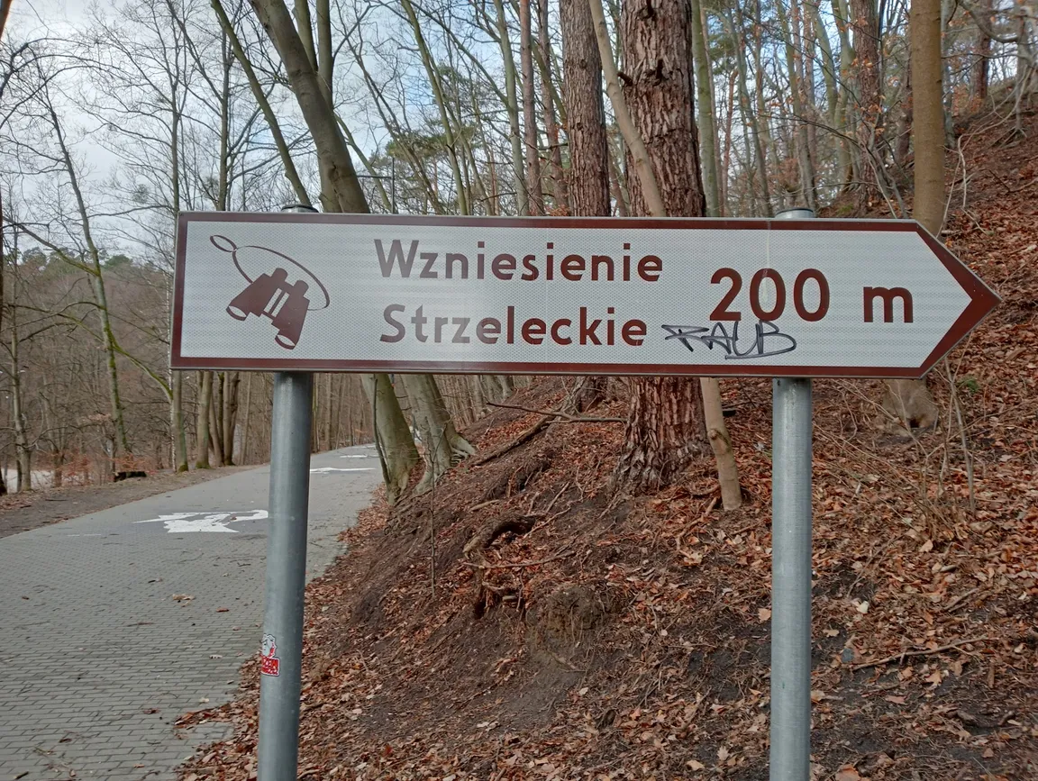 Punkt widokowy przy Wzniesieniu Strzeleckim