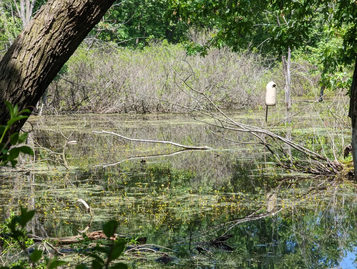 Sand Ridge Nature Center