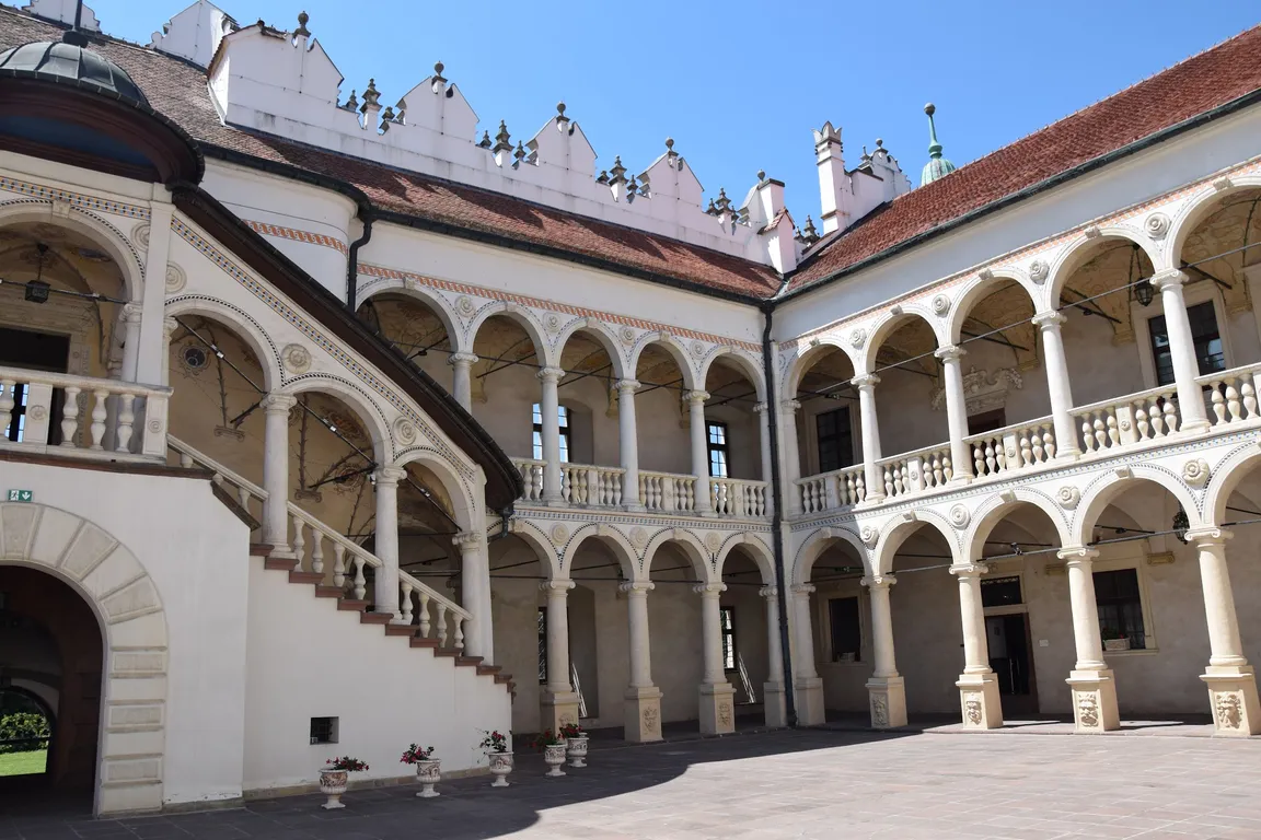 Baranów Sandomierski. Zespół pałacowo - parkowy