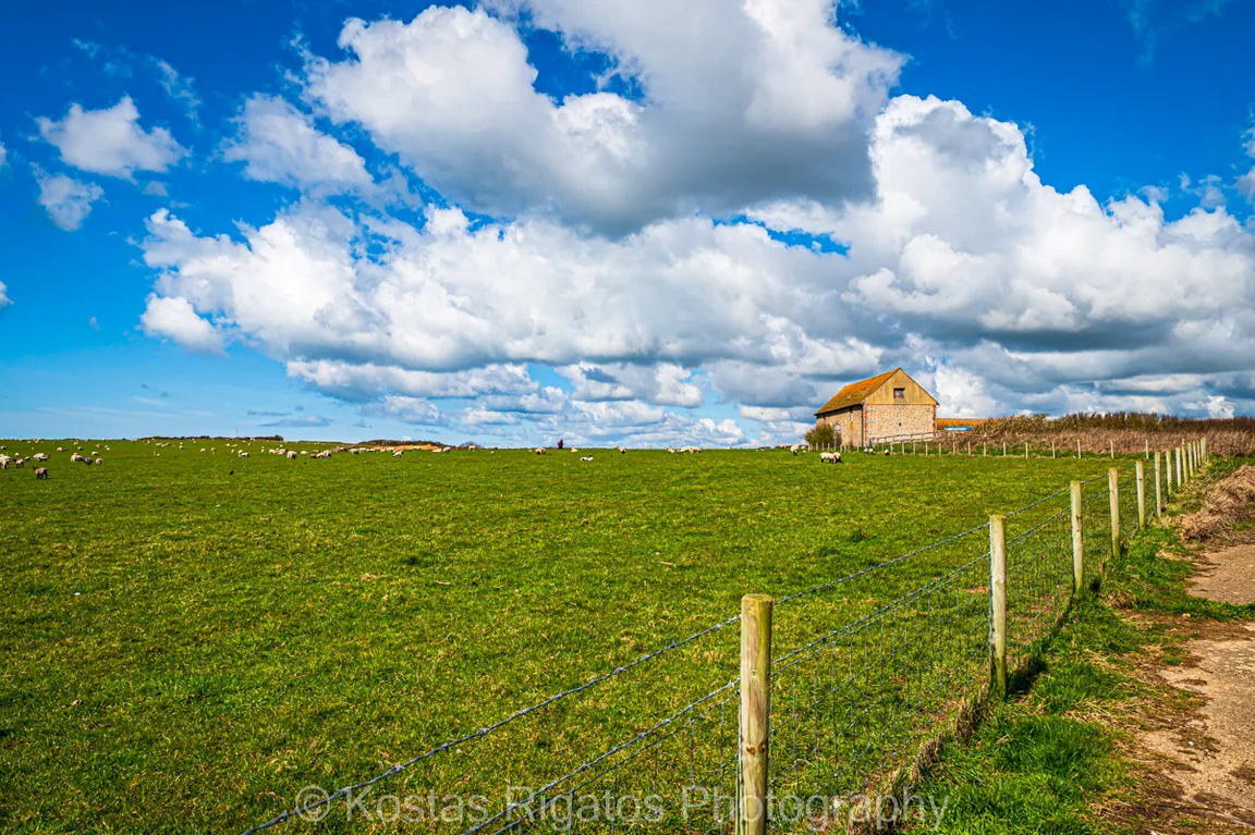 Seaford Head Nature Reserve, Sussex Wildlife Trust