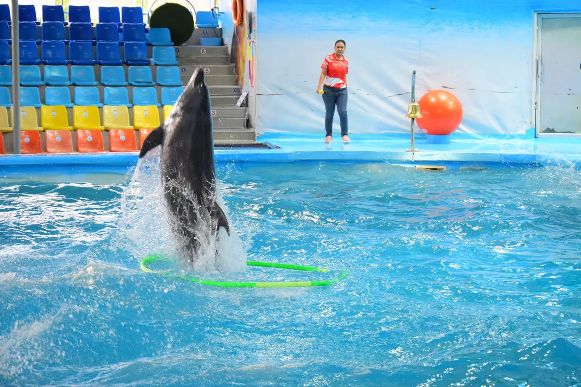 Dolphins Bay Phuket