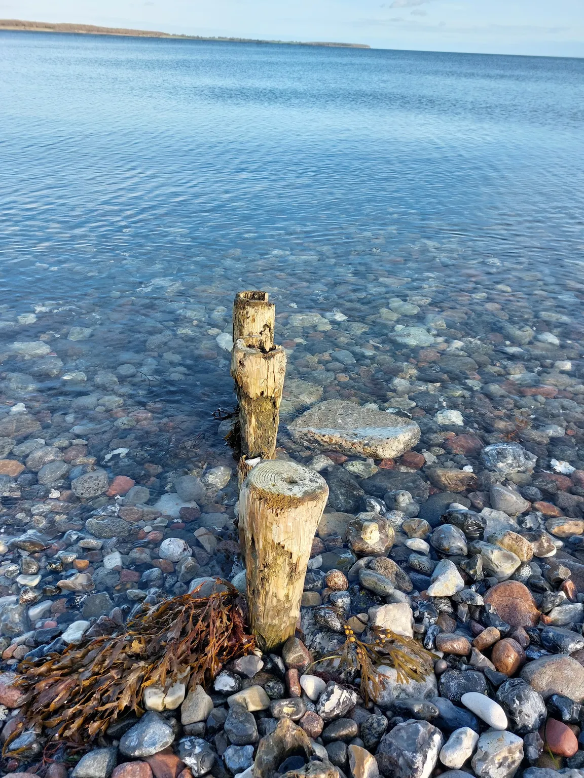 Kerteminde Strand hiking