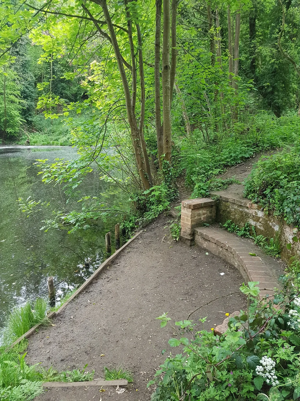 C S Lewis Nature Reserve