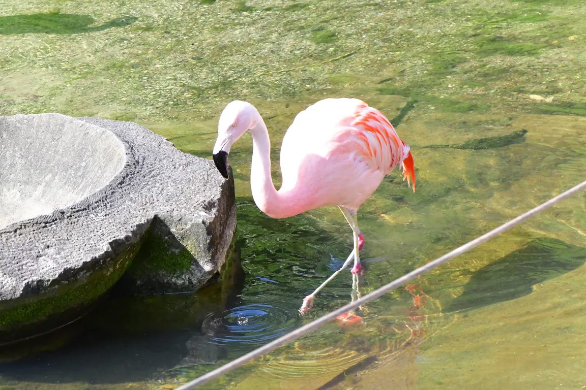 Höhenpark Killesberg