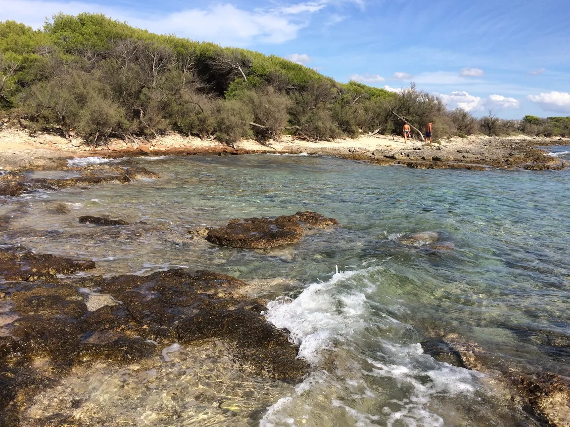 Isola dei conigli