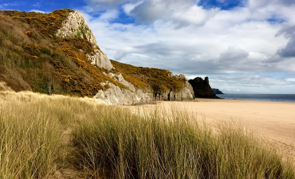 Tor Bay