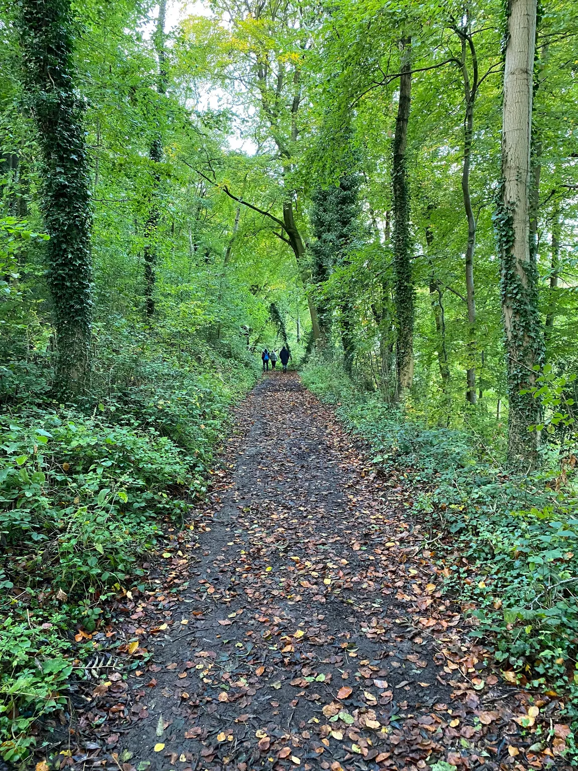 Haresfield Beacon & Standish Wood