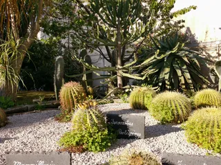 Parco di Villa Fiorentino