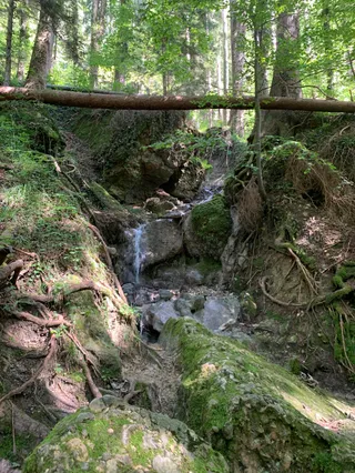 Pfänder
