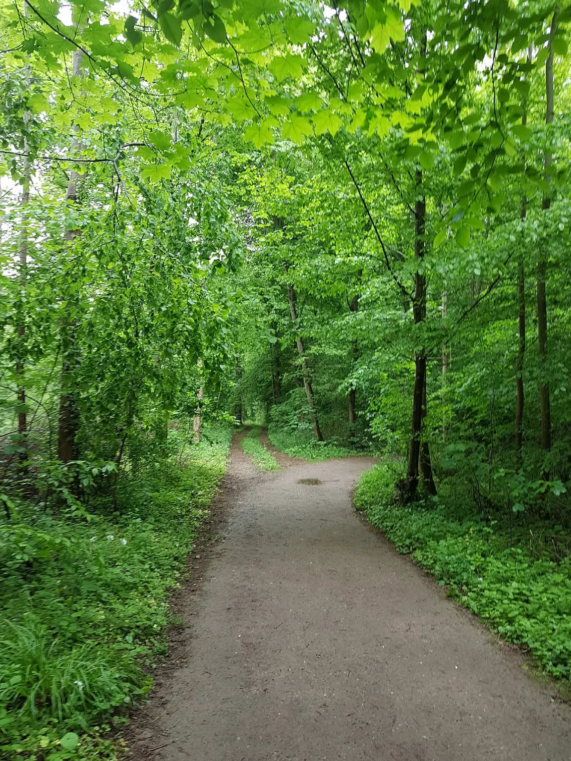 Parcours Vita fontaine