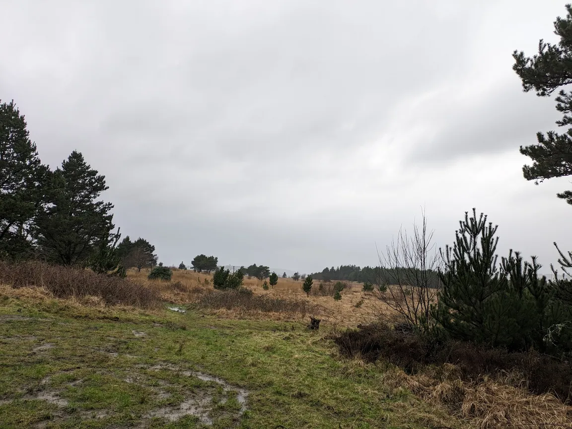Kilvey Hill Trail