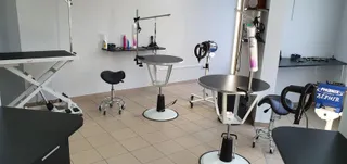 Psi Fryzjer REKSIO