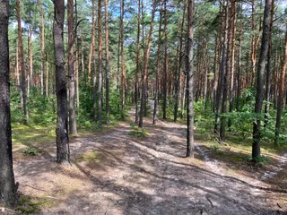 Boryszewska Góra