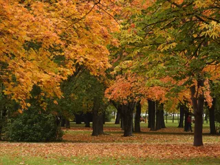 Pionerskiy Park