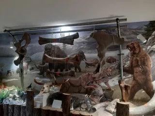 Regionalne Centrum Promocji Obszaru Natura 2000 Tarnobrzeska Dolina Wisły