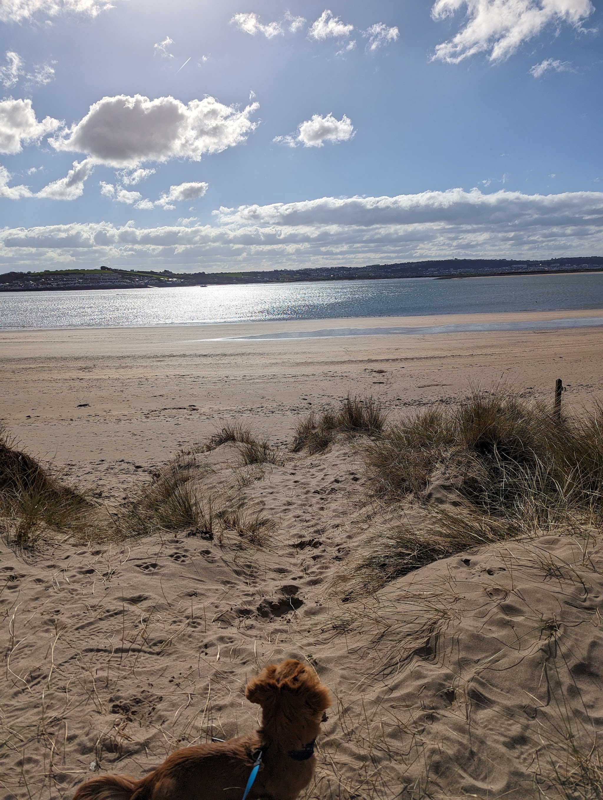 Crow Point | Hopsa