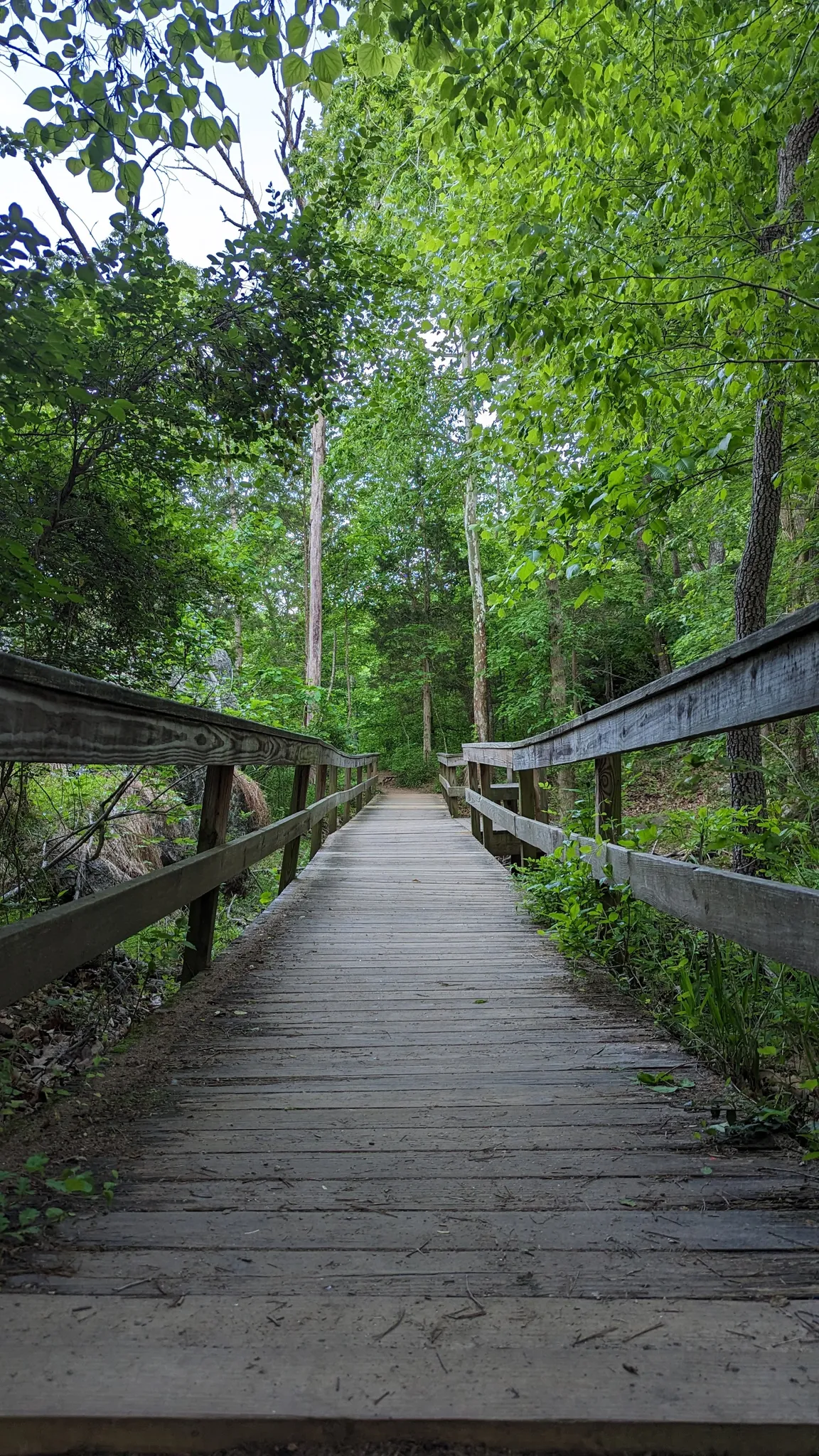 Great Falls Park