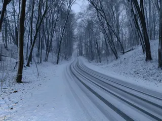 Rezerwat przyrody Skarpa Oborska