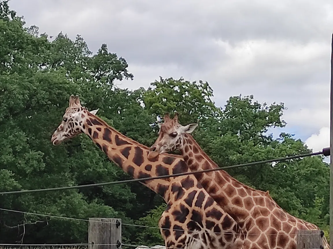 Zoo Opole