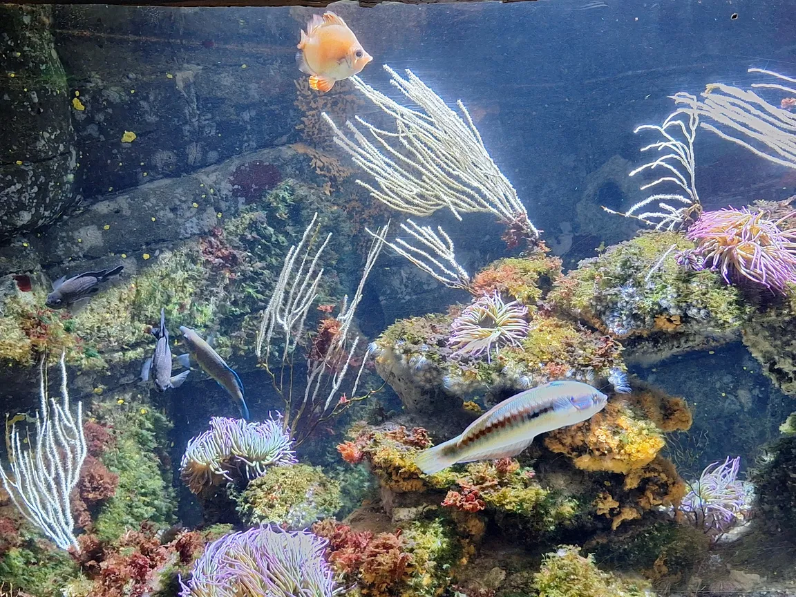 Sea Life Munich