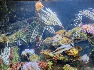 Sea Life Munich