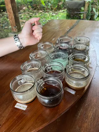 Alas Bali coffee