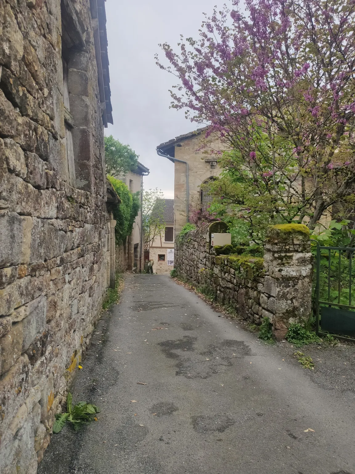 médiéval Garden