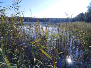 Jezioro Czyste