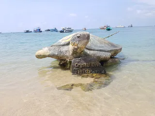 Mae Haad Beach