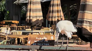 Beach Hotel, Byron Bay