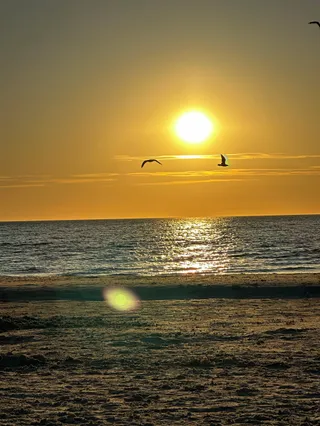 Carrum Beach