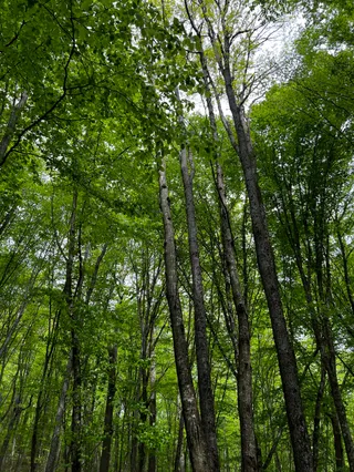 Kirazlıbent Nature Park