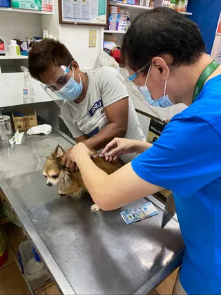 Pet Sanctuary