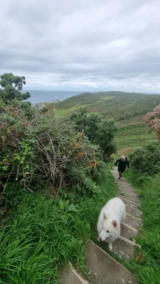 National Trust - Morte Point